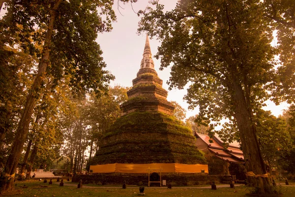 Wat Phra Chedi Luang Dans Ville Chiang Saen Dans Nord — Photo