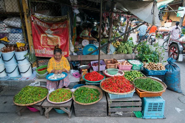 Chili Mercado Alimentos Calle Del Mercado Casco Antiguo Mae Sot — Foto de Stock