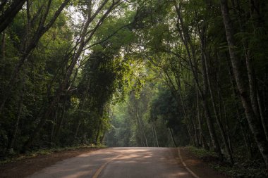Tayland 'ın Phetchaburi eyaletinde yer alan Phetchaburi şehrinin batısındaki Kaeng Krachan Nationalpark' ta bir Park yolu. Tayland, Phetburi, Kasım 2019