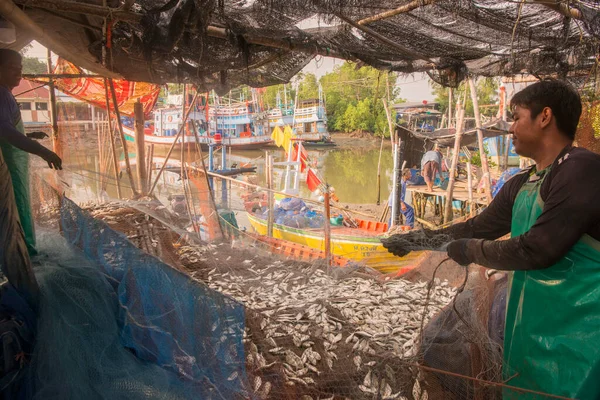 タイのPhetchaburi県のPhetchaburiまたはPhetburiの町の近くのBan Laem地区にあるタイ湾の漁船港での釣り家族 フェトブリ 2019年11月 — ストック写真