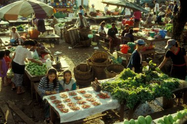 Lao 'nun güneyindeki Champasak eyaletinin Pakse şehrinde bir gıda pazarı. Lao, Pakse, Temmuz 1996