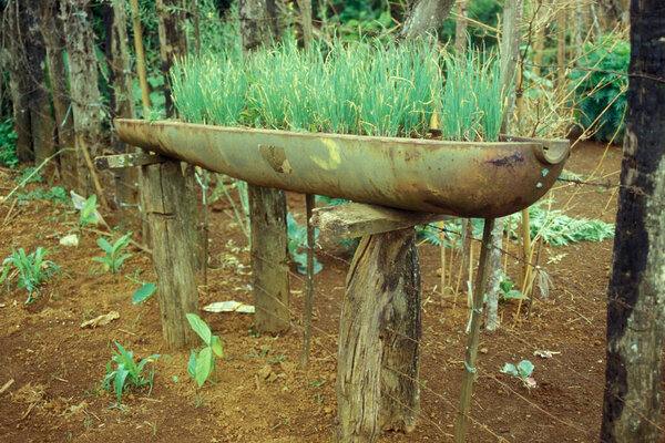 Декорация бомб в саду в центре города Пхонсаван в провинции Сиенг Кхунаг в Лаосе на севере Лаоса. Лао, Фонсаван, июль 1996 года