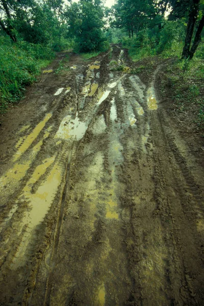 ラオス南部のラオスのチャンパサック県のパクセ市近くのボールベーン高原の熱帯雨林の道路 1996年7月ラオス パクセ — ストック写真