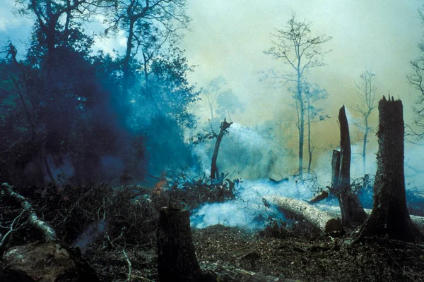 ラオス南部のラオスのチャンパサック県のパクセ市近くのボールベーン高原の熱帯雨林での火災 1996年7月ラオス パクセ — ストック写真