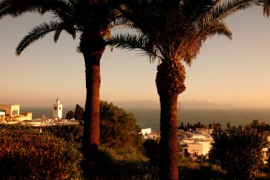 Eski Sidi Bou kasabasındaki Sidi Bou Camii Kuzey Afrika, Tunus 'un kuzeyindeki Tunus yakınlarındaki Sidi Bou Said, Mart 2009