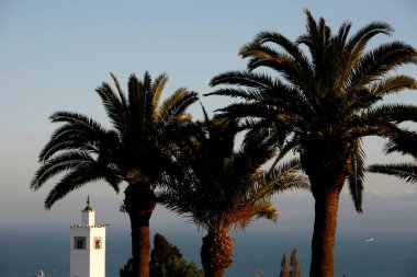 Eski Sidi Bou kasabasındaki Sidi Bou Camii Kuzey Afrika, Tunus 'un kuzeyindeki Tunus yakınlarındaki Sidi Bou Said, Mart 2009