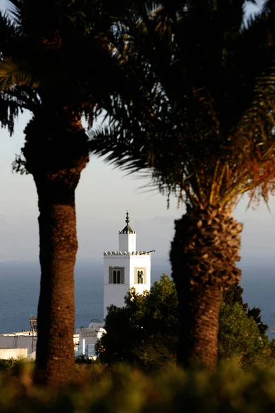 Eski Sidi Bou Kasabasındaki Sidi Bou Camii Kuzey Afrika Tunus — Stok fotoğraf