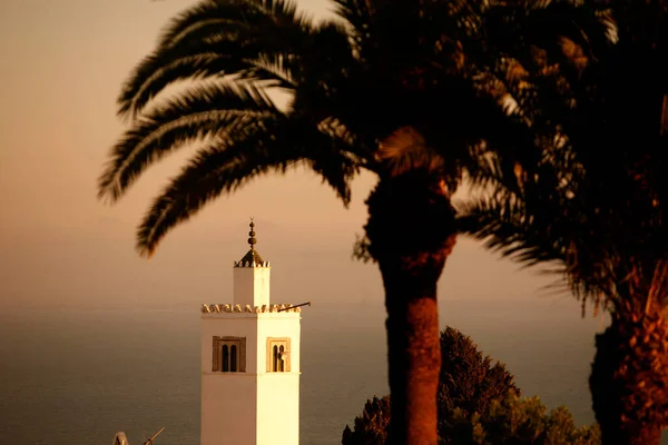 Eski Sidi Bou Kasabasındaki Sidi Bou Camii Kuzey Afrika Tunus — Stok fotoğraf