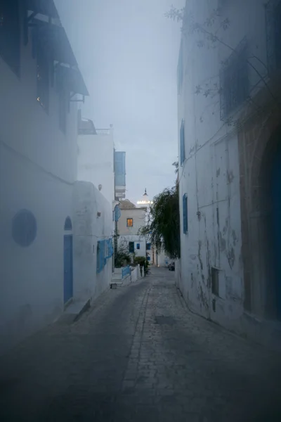 Egy Sikátor Régi Város Sidi Bou Said Közelében Város Tunisz — Stock Fotó