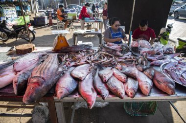 Tayland 'ın Ubon Ratchathani ilindeki Khong Chiam kasabasında mekong balıklı balık pazarı. Tayland, Khong Chiam, 28 Kasım 2023