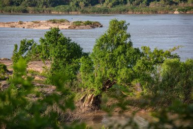 Tayland 'ın Ubon Ratchathani ilindeki Khong Chiam kasabasında Mekong Nehri ve Mun Nehri' nde doğa. Tayland, Khong Chiam, 28 Kasım 2023