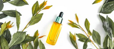 Kozmetik esanslı cam şişe, taze yeşil dallar ve beyaz arka planda izole edilmiş yapraklar. Organik doğal ürün. Düz yerde, üst tarafta. Uzayı kopyala Pankart.