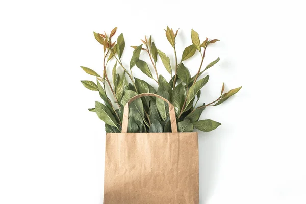 Recycled brown paper shopping bag with handle and green branches leaves isolated on white background. Zero waste concept. Top view, flat lay, copy space.