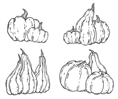 Elle çizilmiş kabaklar set vektör
