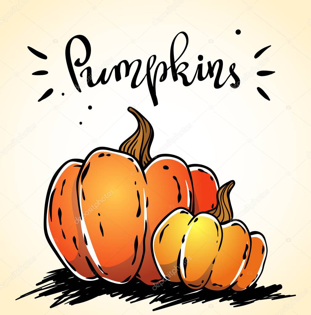 Hand drawn pumpkins image with a lettering