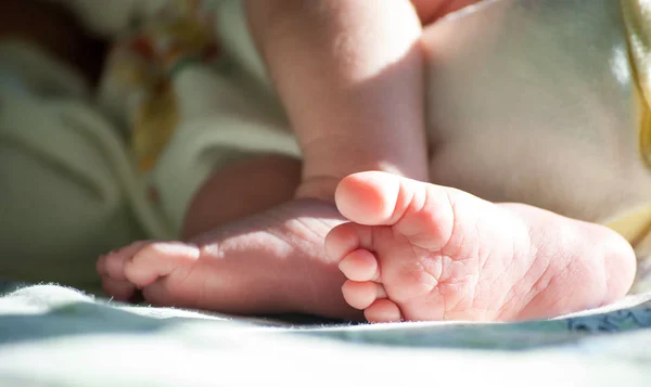 Cute newborn baby feet close up — Stock Photo, Image