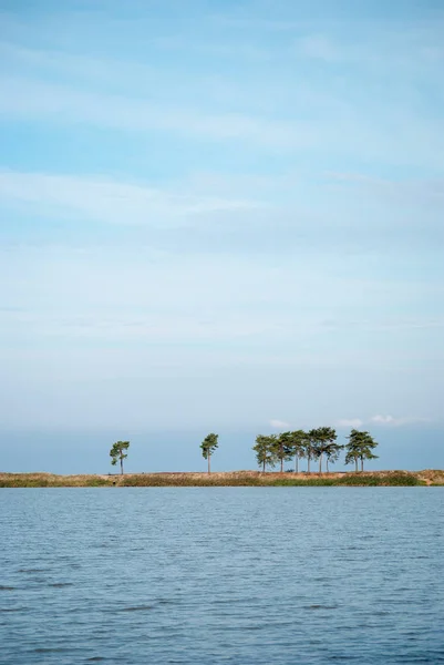 Blauer Himmel und Wasser des Sees und die Sandspitze mit der Linie der Kiefern dazwischen — Stockfoto