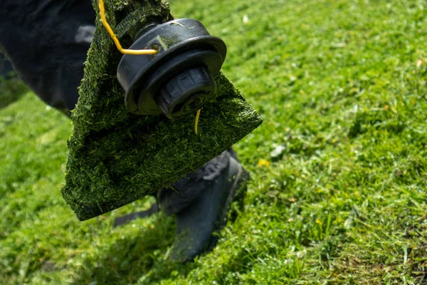 garden grass trimmer closeup photo