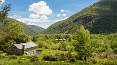 Yüksek dağların ortasında kır evi olan kırsal bölge ve kırsal tatiller için yeşil kuzey.