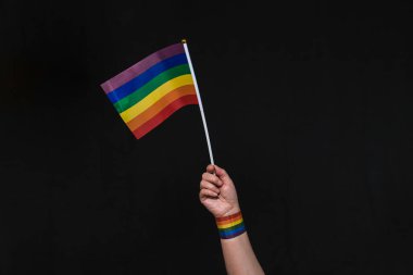 Eşcinsel gururunun gökkuşağı bayraklı kolu. Eşcinsel gurur bayrağını salla. Gurur. Gökkuşağı bayrağı. Neşeli gurur bayrağı.