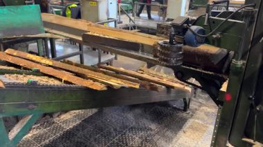 Güçlü endüstriyel makineler ahşap kütükleri kesiyor ve onları tahtalara dönüştürüyor, üretim tesisi içinde tam otomatik kereste fabrikası üretim akışı sergiliyor.