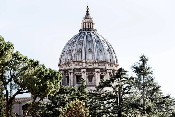 View Saint Peter Cathedral Dome Rome — Stock Photo, Image