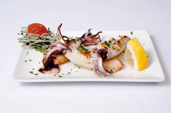 Piatto Calamari Sfondo Bianco — Foto Stock