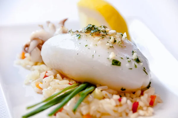 Squid Dish White Background — Stock Photo, Image