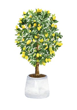 Limon Ağacı Sanatı. Tencere Baskılı Limon Ağacı. Mutfak dekorasyonu. Yemek sanatı. Citrus Yazdırma. Oturma Odası Dekoratörü.