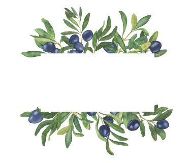 Suluboya Zeytin dalı Clipart. Olive Greenery Clipart 'tan ayrılıyor. Zeytin Çelengi Çerçevesi Kenarlıkları beyaz arka planda. Yeşil Yaprak. Rustik Davetler. Düğün davetiyesi..
