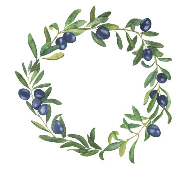 Suluboya Zeytin dalı Clipart. Olive Greenery Clipart 'tan ayrılıyor. Zeytin Çelengi Çerçevesi Kenarlıkları beyaz arka planda. Yeşil Yaprak. Rustik Davetler. Düğün davetiyesi..