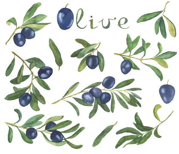 Aquarela Azeitona Branch Clipart Azeitona Deixa Clipart Greenery Olive Wreath — Fotografia de Stock