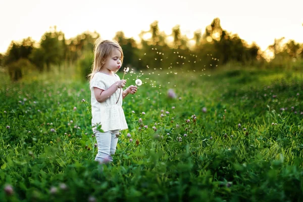 Ein Kleines Mädchen Bei Sonnenuntergang Bläst Mit Löwenzahn Glückliches Kind — Stockfoto