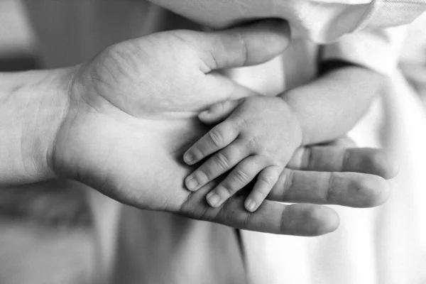 Annesinin elinde küçük bir çocuğun yeni doğmuş eli. Aile içinde sevgi ve anne sevgisi. Aile değeri. Yeni doğmuş sağlıklı bir bebek. Bir anne çocuğunun elini tutar. Siyah beyaz fotoğraf