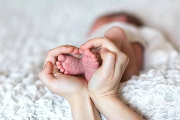白い背景に両親の手に新生児の足 大人の手に新生児の小さな足 母の手の中に生まれたばかりの赤ん坊の足は 軽い背景の毛布の上に — ストック写真