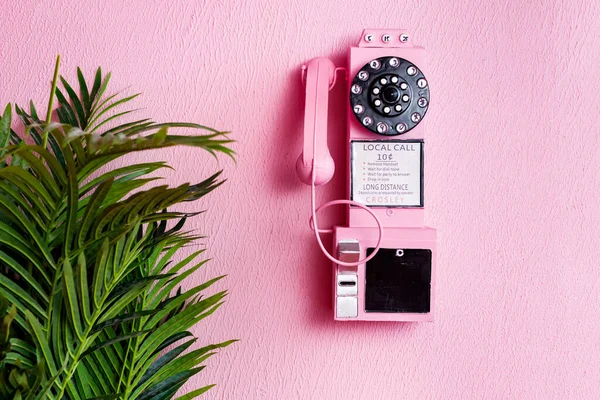 Pastel arka planda alıcısı olan eski pembe telefon ve fotokopi alanı olan yeşil bitki.