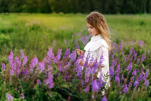 Uma Menina Vestido Branco Com Belas Flores Campo Verão Conceito — Fotografia de Stock