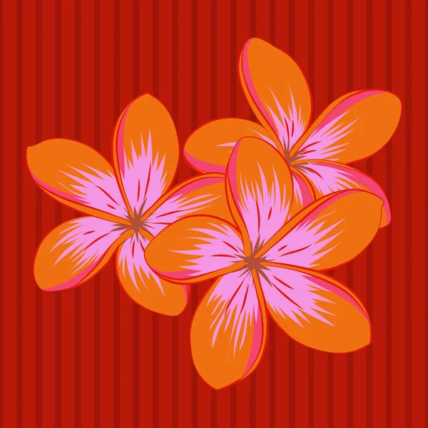 Design Mignon Couleurs Rouge Orange Rose Pour Autocollants Étiquettes Étiquettes — Image vectorielle