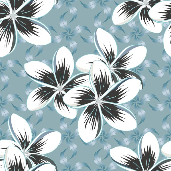 Las Flores Plumeria Sin Costuras Color Gris Azul Fondos Florales — Vector de stock