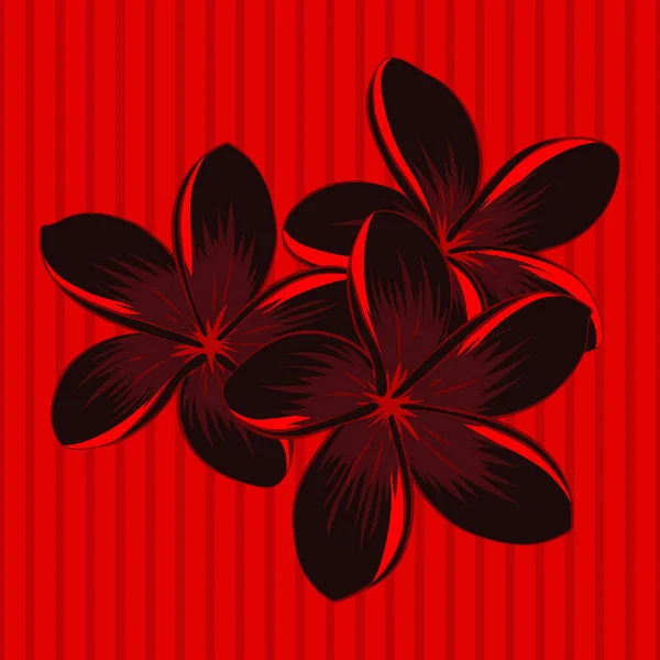 时尚的矢量花 红色和黑色的印染 无缝隙 柔和的花朵图案 浪漫的 时髦的 时尚的花色背景 — 图库矢量图片