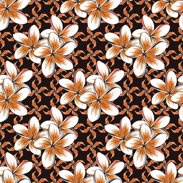 Seamless Floral Pattern Cute Plumeria Flowers Black Beige Orange Colors — Stock Vector