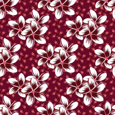 Vektör çizimi. Tatlı plumeria çiçeklerinde, kırmızı, pembe ve mor renklerde kusursuz çiçek deseni..