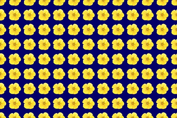 Kusursuz Çiçek Arkaplanı Çizimi Koyu Mavi Arka Planda Sarı Çiçeklerin — Stok fotoğraf