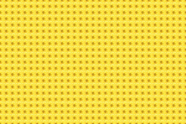 Patrón Sin Costuras Flores Amarillas —  Fotos de Stock