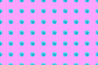 Pembe arka planda kusursuz çiçek deseni. Raster Kozmos çiçekleri kusursuz desen.