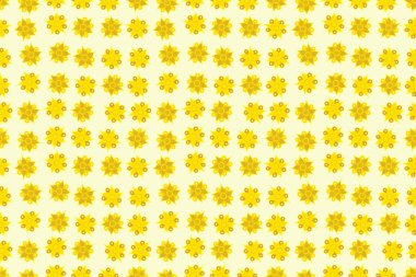 Kusursuz çiçek arkaplanı. Tarzsız çiçek motifi deseni, çiçekler, delik, noktalar, bej arka planda karalamalar. El çizimi.