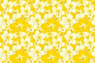 Tarzsız çiçek motifleri, çiçekler, delikler, noktalar, karalamalar. Hibiscus çiçekleri sarı ve beyaz renklerde. El çizimi. Kusursuz çiçek arkaplanı.