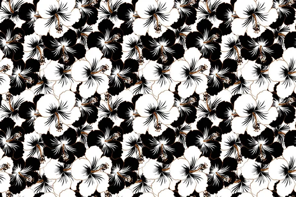 Seamless Exotic Pattern Black White Tropical Flowers Blooming Jungle Hibiscus — Stock Photo, Image