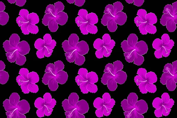 Aloha Hawaiian Shirt Seamless Hibiscus Pattern Black Background Violet Colors — Stock Photo, Image