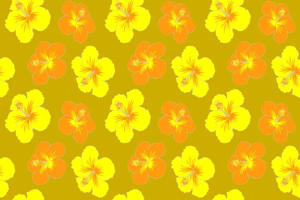 Motif Floral Tropical Sans Couture Avec Fleurs Hibiscus Multicolores Floral — Photo